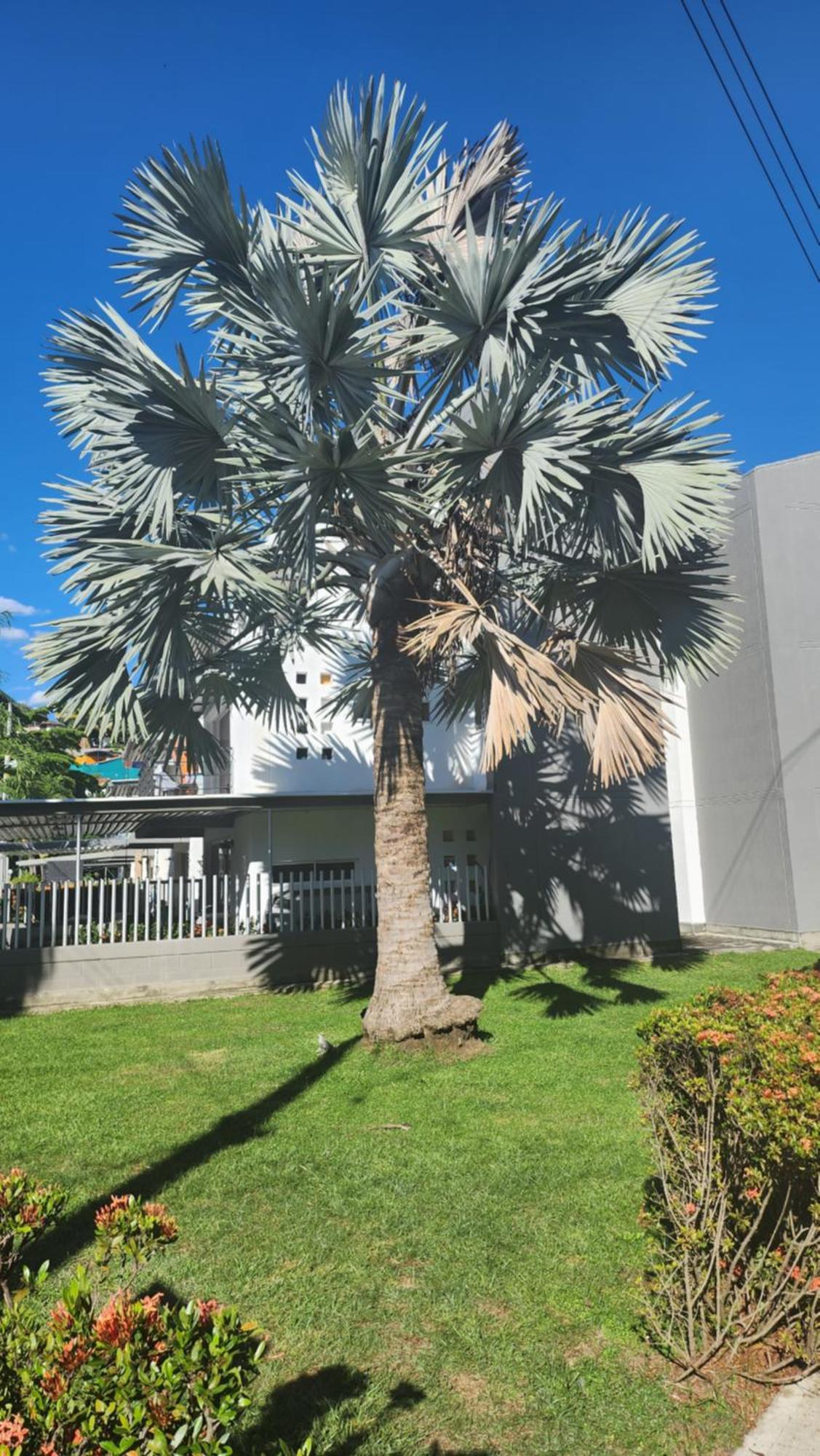 Apartasol Club Ciudadela Santa Fe - Santa Fe De Antioquia Exterior photo